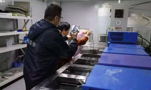 深圳環保消防嚴查風暴下，一家工廠的關閉與反思